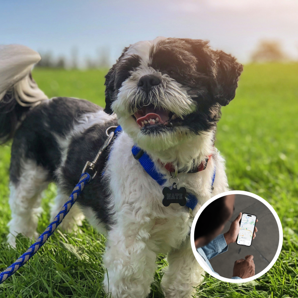 GPS Dog Tracker GPS Dog Tracker